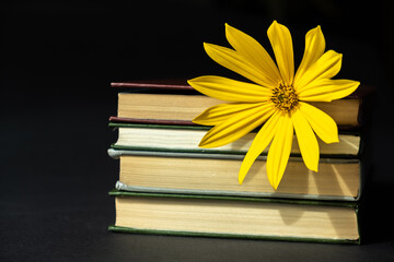 A yellow flower lies on a stack of books on a dark background. Autumn cozy still life. Autumn time concept. Copy space