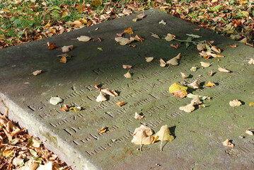 autumn leaves on the grave