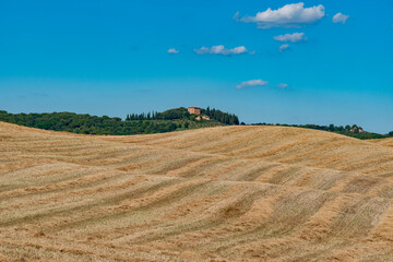 Chianti hills in summer province of Siena Tuscany