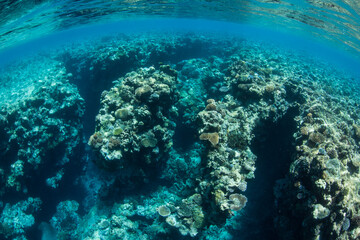 Fototapeta na wymiar Spur and groove channels, filled with living corals, have eroded along the edge of Palau's southwest barrier reef. This type of channel develops on reefs where wave energy is common.