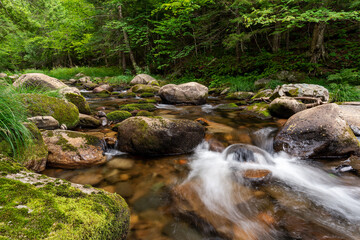 Obraz premium Enjoying a peaceful moment by the river where the water flows around the rocks covered with a green moss