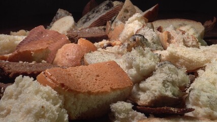 Food loss and waste. Wasted bread, food wasting. Discarded moldy bread close up. Growth of toxic black mold
