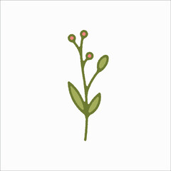 flower simple botanical illustrations, line artwork, minimal design elements. elegant and delicate plant doodles for branding, wedding invitation, graphic design. spring floral clip art , feminine art
