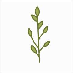 flower simple botanical illustrations, line artwork, minimal design elements. elegant and delicate plant doodles for branding, wedding invitation, graphic design. spring floral clip art , feminine art