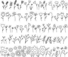 Hand drawn doodle flowers and leafs, plants cute