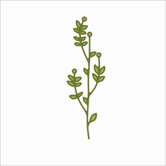 flower simple botanical illustrations, line artwork, minimal design elements. elegant and delicate plant doodles for branding, wedding invitation, graphic design. spring floral clip art , feminine art