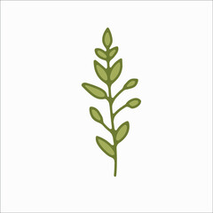 Fototapeta premium flower simple botanical illustrations, line artwork, minimal design elements. elegant and delicate plant doodles for branding, wedding invitation, graphic design. spring floral clip art , feminine art