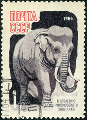 USSR - 1964: shows Elephant, The 100th anniversary of the Moscow Zoo, 1964