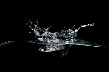 close up of water waves splash and bubbles isolated on black background.