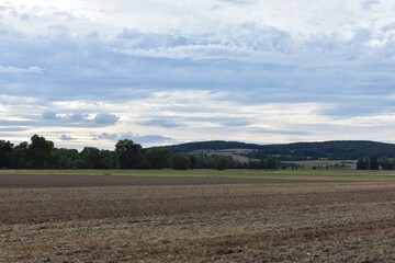 Obraz premium field and sky