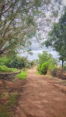 Fototapeta premium road in the indian village