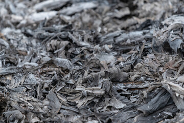 Abstract pile of ashes after the fire went out. Burning wood ash background and texture.