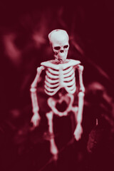 Fototapeta premium The skeleton walks in the crimson darkness. Night of the bloody dead. Happy Halloween concept. Toning in red.