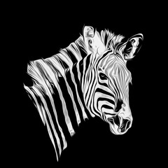 zebra with colorful stripes art