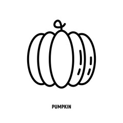 Pumpkin thin line icon. Seasonal vegetable. Healthy organic food. Vector illustration.