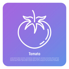 Tomato thin line icon. Vegetarian organic healthy food. Vector illustration.