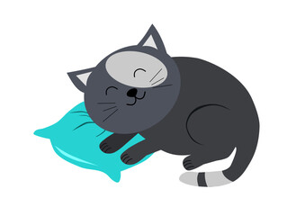 vector graphics, grey cat sleeping on a pillow