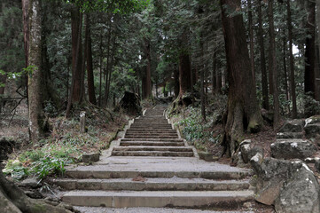 Fototapeta premium 寺の参道