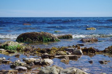 Fototapeta na wymiar Paysage rocheux de la mer et l'horizon