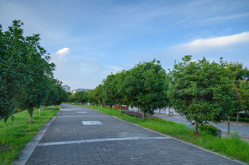 road in the park