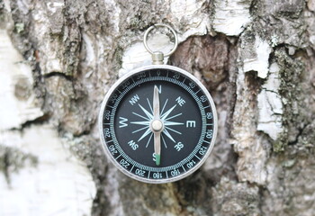 round compass on background of birch bark as symbol of tourism with compass, travel with compass...