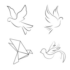 pigeons in different styles. cute doves.black and white pigeons