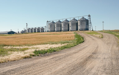 Fototapeta na wymiar Grain storage bins near the town of Beiseker, Alberta, Canada