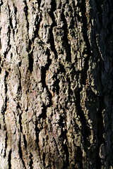 Hintergrund