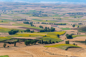 Fototapeta na wymiar High angle view of farmland with fields for sunflower cultivation