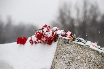 memorial carnations victory day день победы цветок жизни
