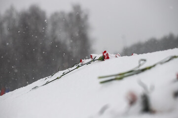 memorial carnations victory day
