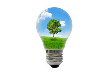 Light bulbs with natural ideas and energy concept