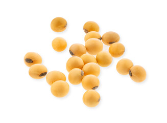 soybeans isolated on white background