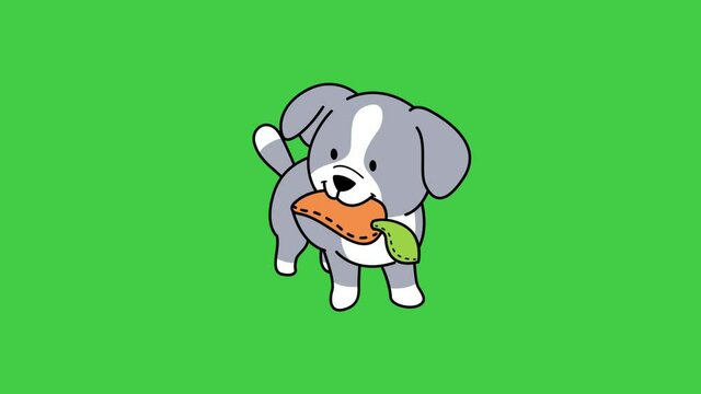 Animation gray dog on green background.