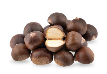 chestnut isolated on white background