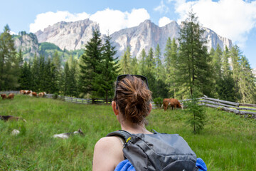 Young woman with a backpack admiring green Alpine meadows where cows are grazing and the high Dolomite peaks of the the Italian Alps. Val Badia, South Tyrol - Italy