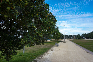 Porto, park near the ocean