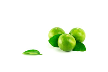 fresh lime. Green leaf lime isolated on white background.