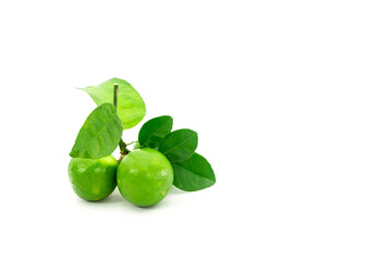fresh lime. Green leaf lime isolated on white background.