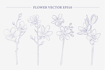 Creative vector flower collection