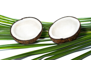 Half ripe coconut isolated on white background.