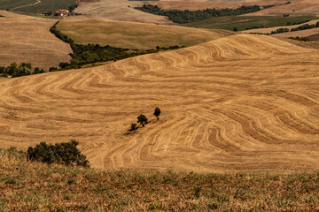 A beautiful view of the hills of Tuscany