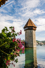Luzern, Kapellbrücke, Wasserturm, Holzbrücke, Stadt, Altstadt, Brücke,  Reuss, Fluss,...