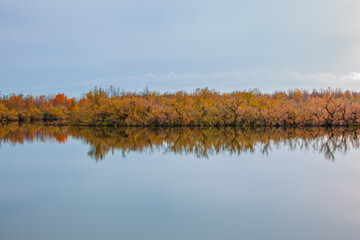 Autumn forest landscape reflection on the waters of small lake at sunset lights of sun