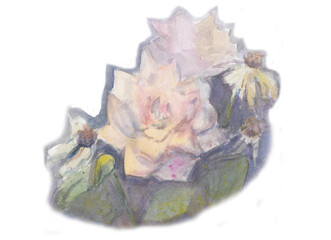 rose watercolor illustration art flowers print