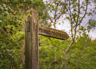 old wooden signpost
