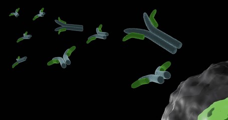 Antibodies produced by plasma cell in 3d illustration