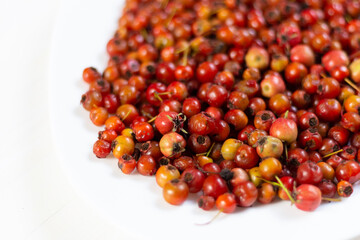 Ripe hawthorn berries on white plate