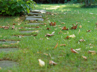 Summer in a residential area surrounded by greenery. A path made of stones, illuminated by the light of day, gives access to the lawn.