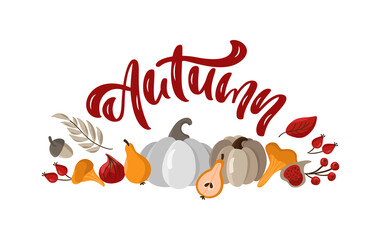Autumn vector calligraphy lettering text banner in frame fall leaves, acorns, pumpkins and berries. Vector template with lettering isolated on white background